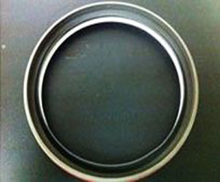 PTFE Lip Rotary Shaft Seal-metal Cased